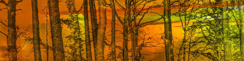 wald2